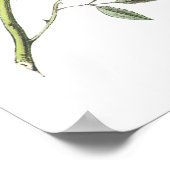 ダーク・アイド・ユンコ(Dark-eyes Junco) by Audubon ポスター (角)