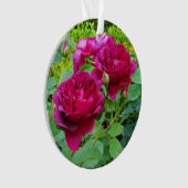 ダーシーブセルバラ#2オーナメント オーナメント (正面)