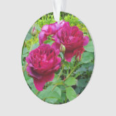 ダーシーブセルバラ#2オーナメント オーナメント (正面)