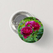 ダーシーブセルバラ#2ボタン 缶バッジ (正面&裏面)