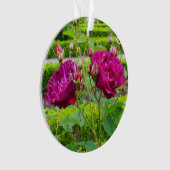 ダーシーブセルバラ#3オーナメント オーナメント (正面)