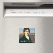 ダーシー・マグネット氏 マグネット (インサイチュ (食洗機))