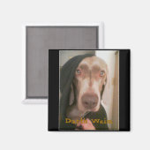 ダース・ワイム磁石 マグネット (正面/裏面)