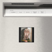 ダース・ワイム磁石 マグネット (インサイチュ (食洗機))