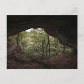 ダーチブリッカマープファルゼルヴァルト ポストカード (正面)