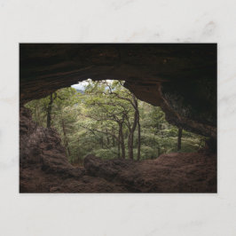 ダーチブリッカマープファルゼルヴァルト ポストカード