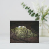 ダーチブリッカマープファルゼルヴァルト ポストカード (スタンド正面)