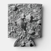 ダーツダイモルフォス小惑星ムーンレット表面 缶クーラー (正面)