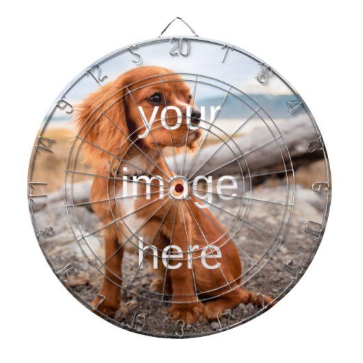 ダーツパーソナライズされたボード ダーツボード (正面)