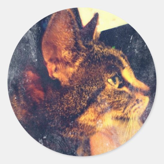 ダーティヴィンテージプロファイルIndigo ラウンドシール (正面)