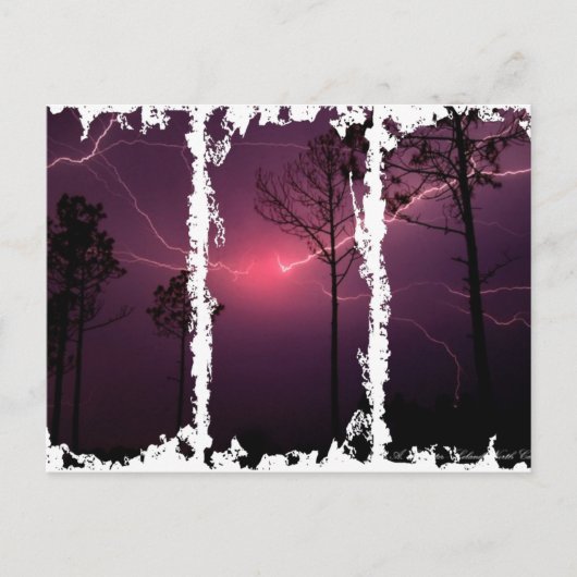 ダーティ3高箱はがき ポストカード (正面)