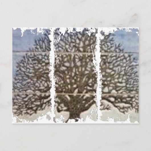 ダーティ3高箱はがき ポストカード (正面)