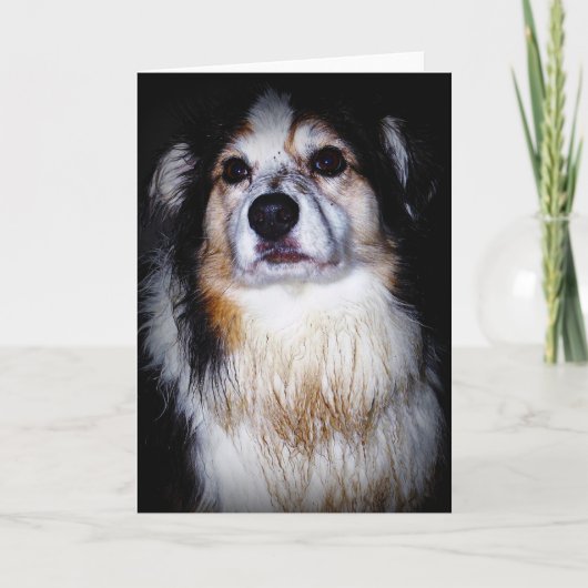 ダーティ・ディガー・ドギー カード (正面)