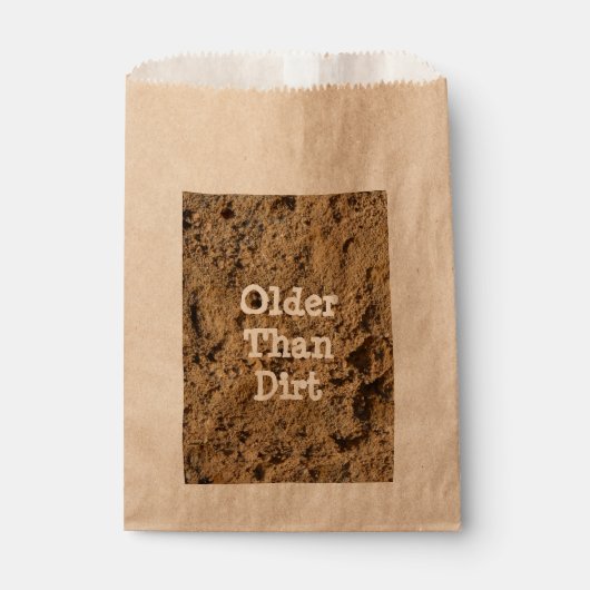 ダートより古いバッグ フェイバーバッグ (正面)