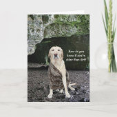 ダートより年上？ カード (正面)