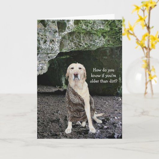 ダートより年上？ カード (黄色い花)