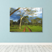 ダートトラックによる発熱の木（アカシア黄色目） キャンバスプリント (インサイチュ (ウッドフロア))