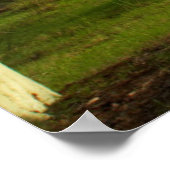 ダートトラックによる発熱の木(アカシア黄色目) ポスター (角)