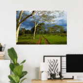 ダートトラックによる発熱の木(アカシア黄色目) ポスター (ホームオフィス)