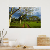 ダートトラックによる発熱の木(アカシア黄色目) ポスター (キッチン)