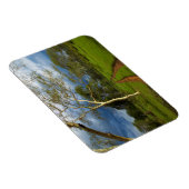 ダートトラックによる発熱の木（アカシア黄色目） マグネット (右側)