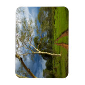 ダートトラックによる発熱の木（アカシア黄色目） マグネット (縦)