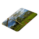 ダートトラックによる発熱の木（アカシア黄色目） マグネット (左側)