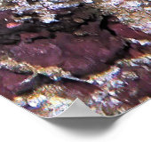 ダートフィッシュのペア ポスター (角)