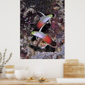 ダートフィッシュのペア ポスター (キッチン)