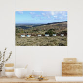 ダートムアヒツジ ポスター (キッチン)