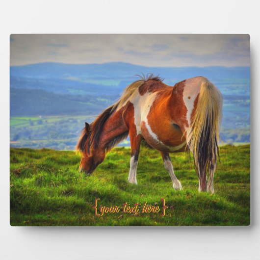 ダートムーアの新しい血 フォトプラーク (正面)