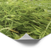 ダートムーア国立公園の小川と滝 ポスター (角)