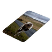 ダートムーア国立公園の道路のポニー マグネット (左側)