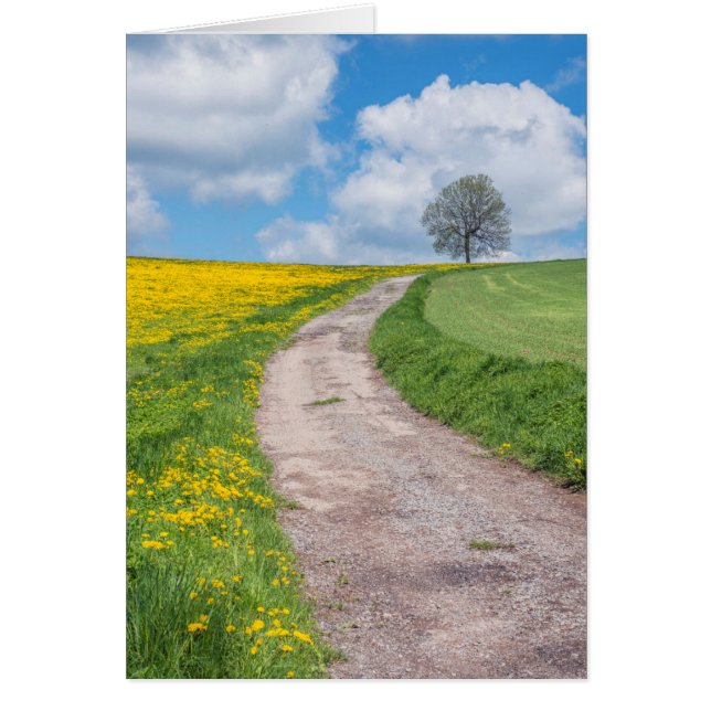 ダートロードとツリー (正面)