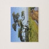 ダート初期のロードとアカシアの木、ナクル湖 ジグソーパズル (縦)