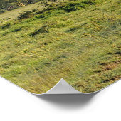 ダート初期のロードとアカシアの木、ナクル湖 ポスター (角)