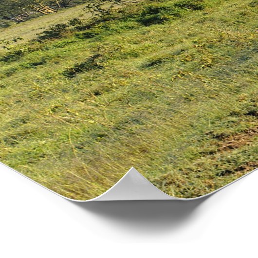 ダート初期のロードとアカシアの木、ナクル湖 ポスター (角)