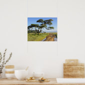 ダート初期のロードとアカシアの木、ナクル湖 ポスター (キッチン)