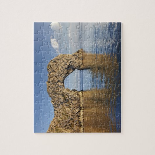 ダードルドアアーチジュラシックコーストワールド伝統2 ジグソーパズル (縦)