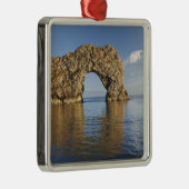 ダードルドアアーチジュラシックコーストワールド伝統2 メタルオーナメント (右)