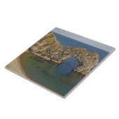 ダードルドアアーチジュラシックコーストワールド伝統3 タイル (側面)