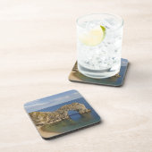 ダードルドアアーチジュラシックコーストワールド伝統 コースター (右側)