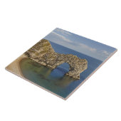 ダードルドアアーチジュラシックコーストワールド伝統 タイル (側面)