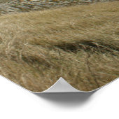 ダードルドア ポスター (角)