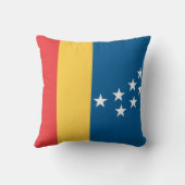 ダーラム国旗（米国ノースカロライナ州） クッション (裏面)