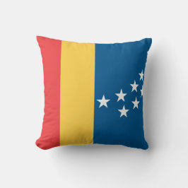 ダーラム国旗（米国ノースカロライナ州） クッション