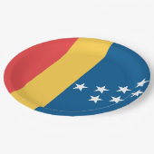 ダーラム国旗（米国ノースカロライナ州） ペーパープレート (アングル)