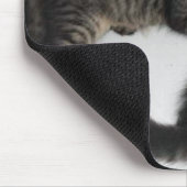 ダーリング子猫マウスパッド マウスパッド (コーナー)