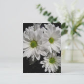 ダーリンデイジー ポストカード (スタンド正面)