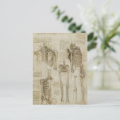 ダ・ヴィンチの人間の骨格解剖スケッチ ポストカード (スタンド正面)